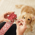 Lollipop Enrichment Toy | Aktiviseringsleke | Precious Pet