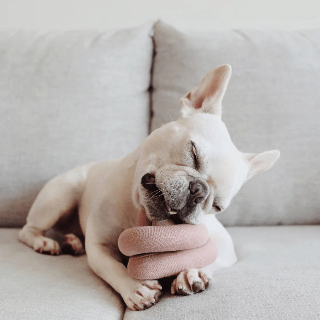 NOUNOU BLUSH - PRECIOUS PET