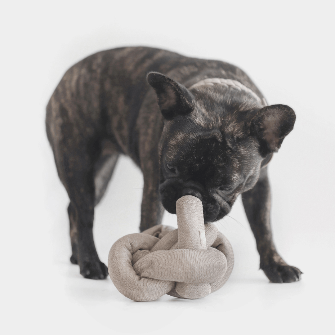 NOUNOU GRAY - PRECIOUS PET