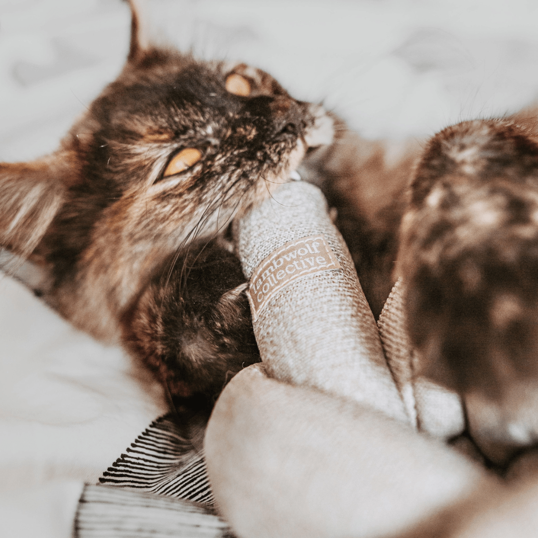 NOUNOU GRAY - PRECIOUS PET