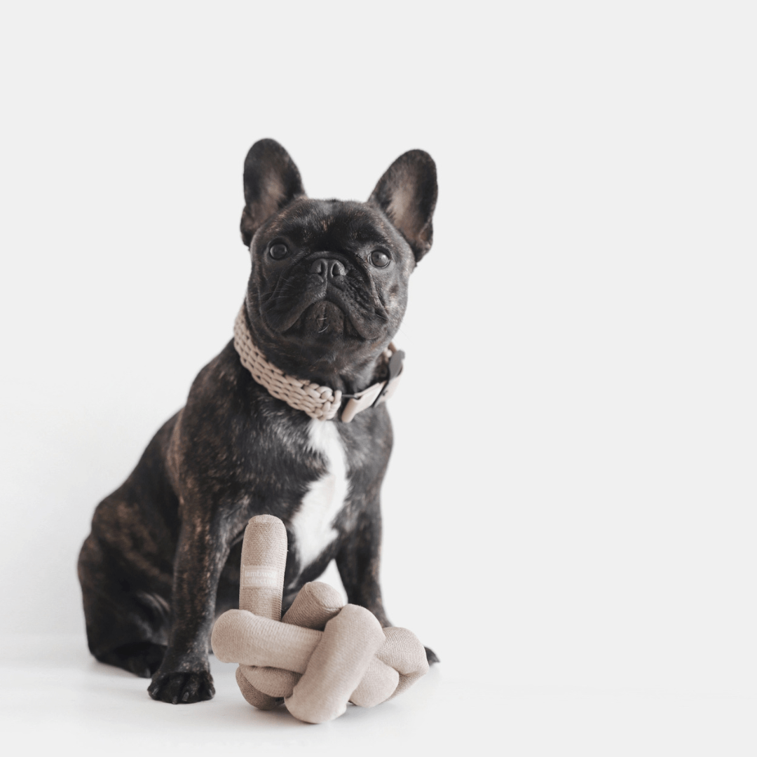 NOUNOU TAN - PRECIOUS PET