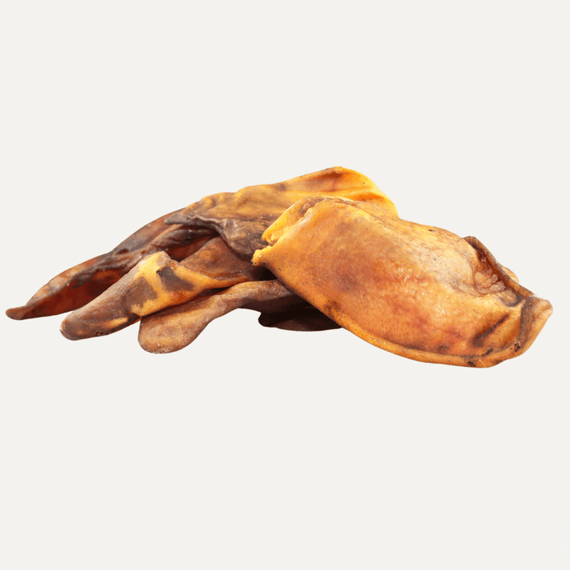 PIVO IBERICO PIG EARS - PRECIOUS PET