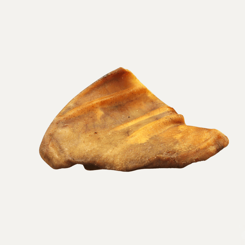 PIVO IBERICO PIG EARS - PRECIOUS PET