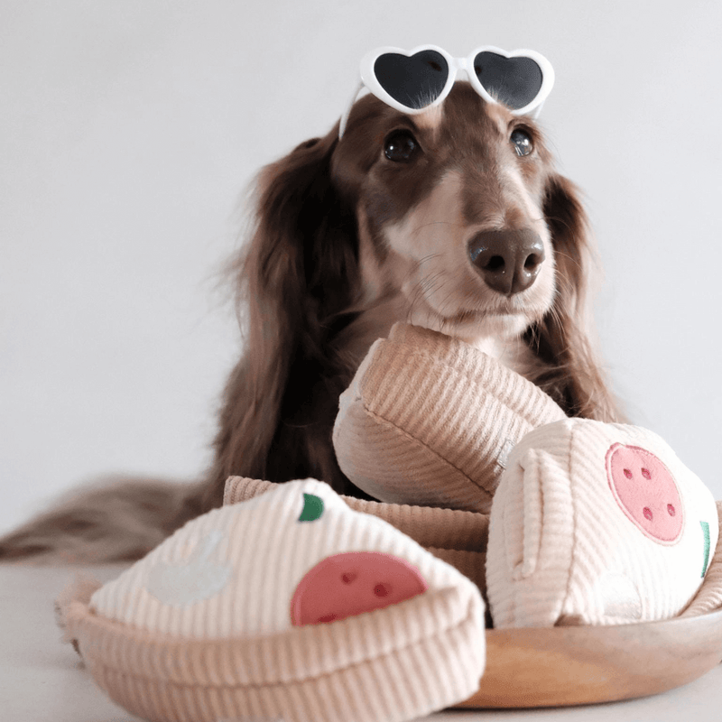 PIZZA ENRICHMENT DOG TOY - PRECIOUS PET