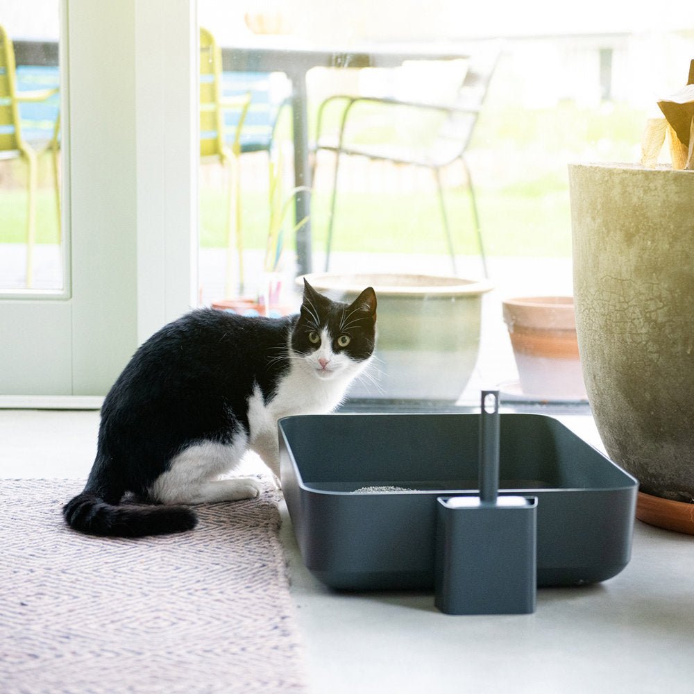 POH CAT LITTER BOX GREY - PRECIOUS PET