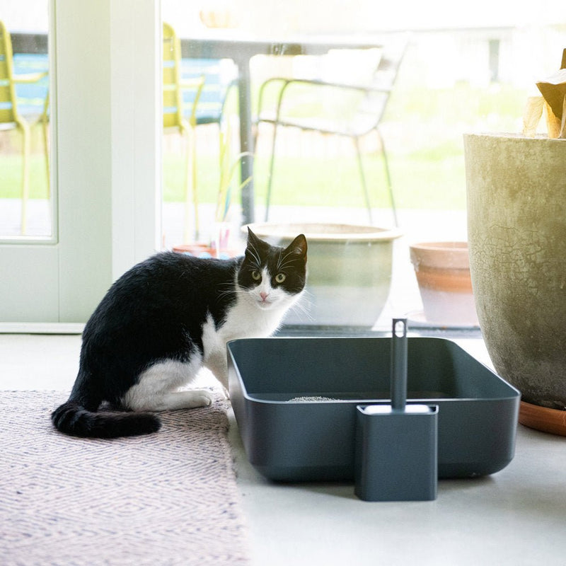 POH CAT LITTER BOX GREY - PRECIOUS PET