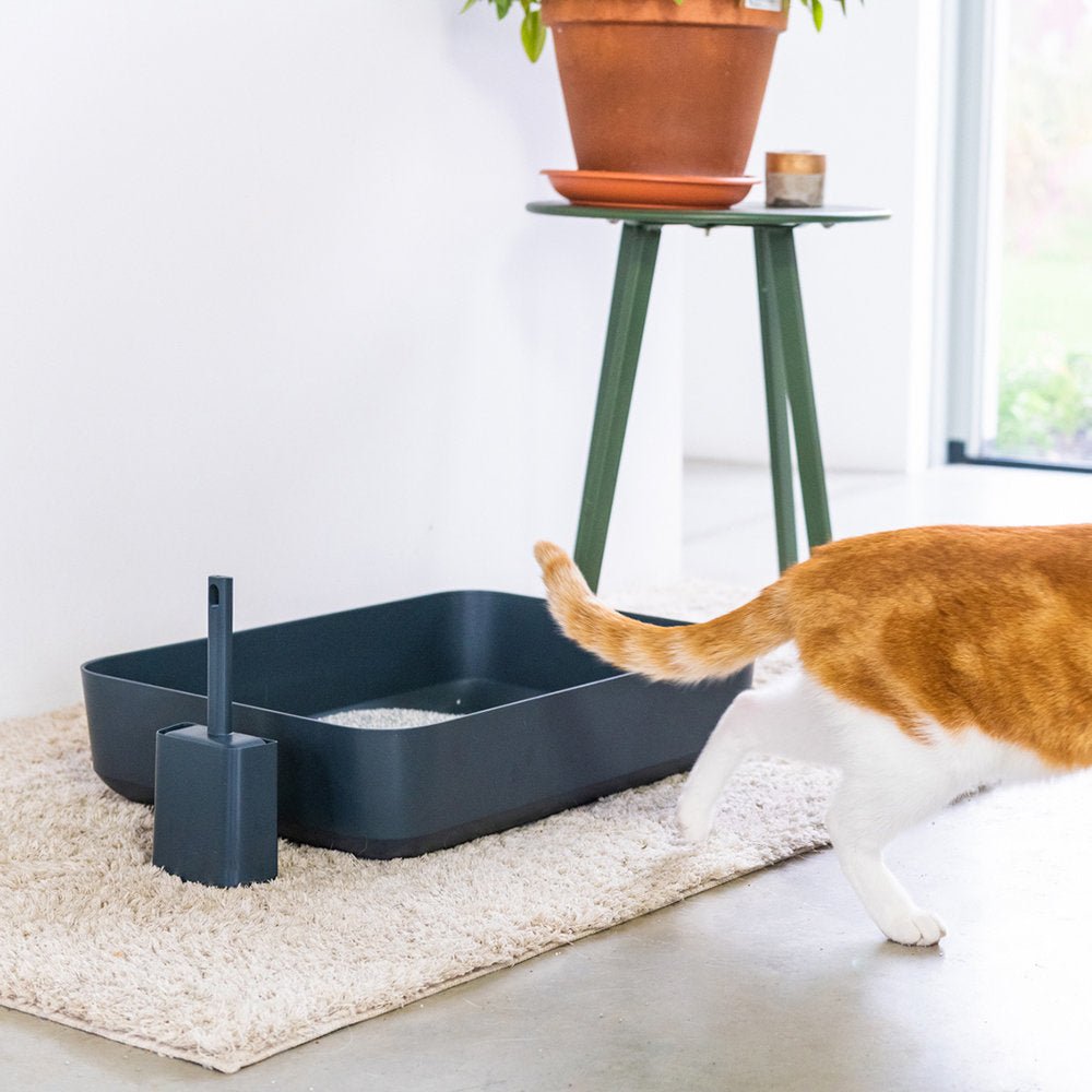 POH CAT LITTER BOX GREY - PRECIOUS PET