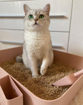 Load image into Gallery viewer, POH CAT LITTER BOX PINK
