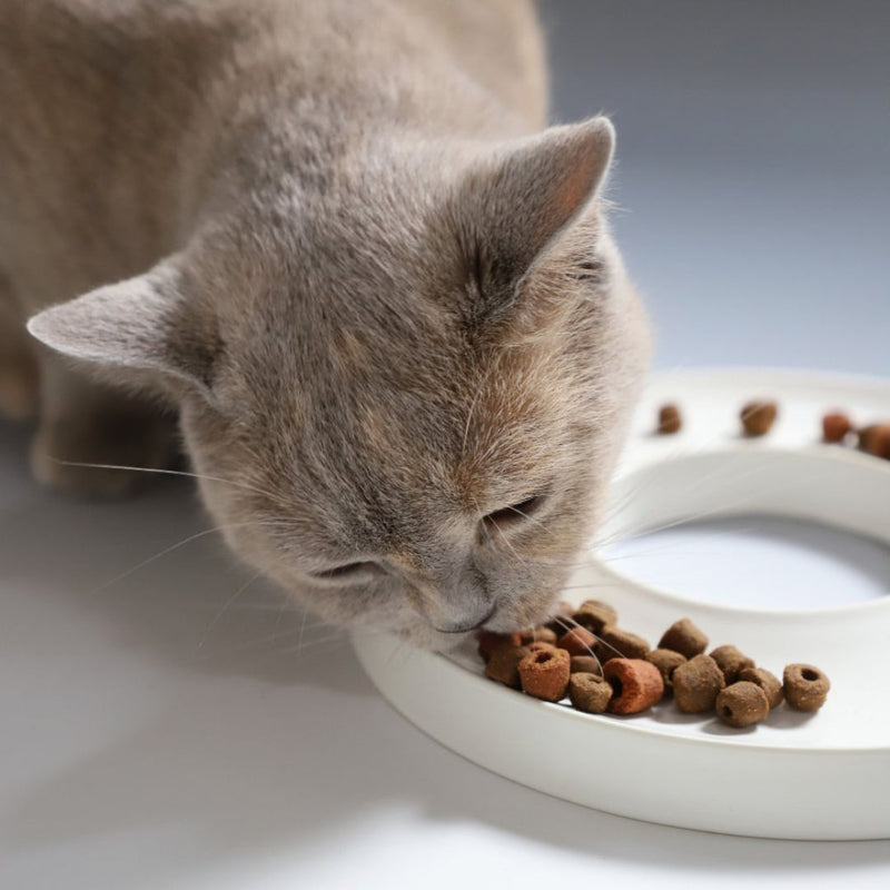 RING SLOWFEEDER GREY KATTESKÅL - PRECIOUS PET