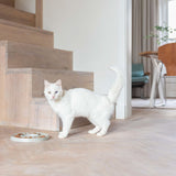 RING SLOWFEEDER GREY KATTESKÅL - PRECIOUS PET