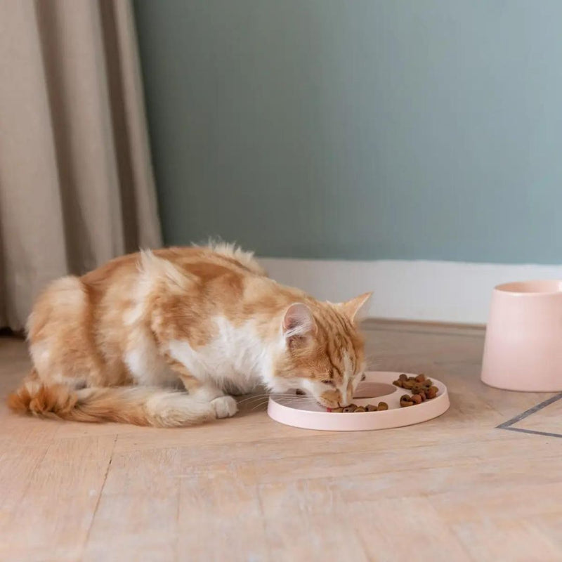 RING SLOWFEEDER PINK KATTESKÅL - PRECIOUS PET