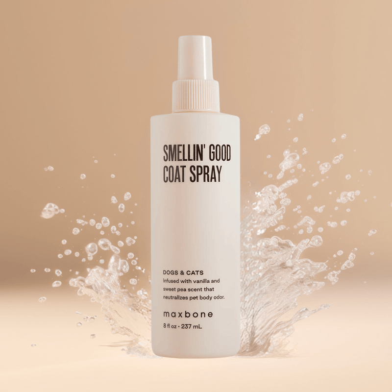 SMELLIN' GOOD COAT SPRAY - PRECIOUS PET
