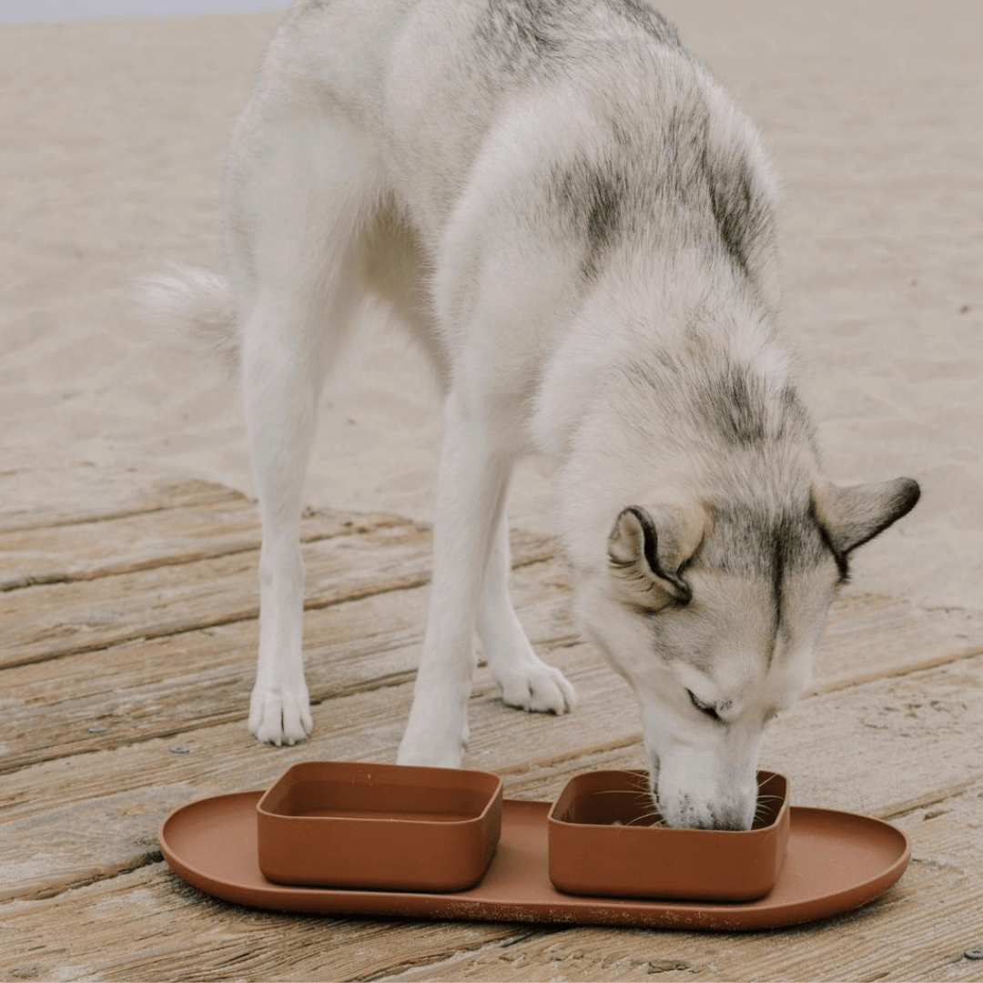 SQUARE BOWLS & MAT SET - PRECIOUS PET