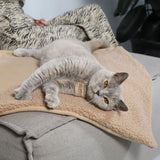 TRI CAT BLANKET BROWN - PRECIOUS PET