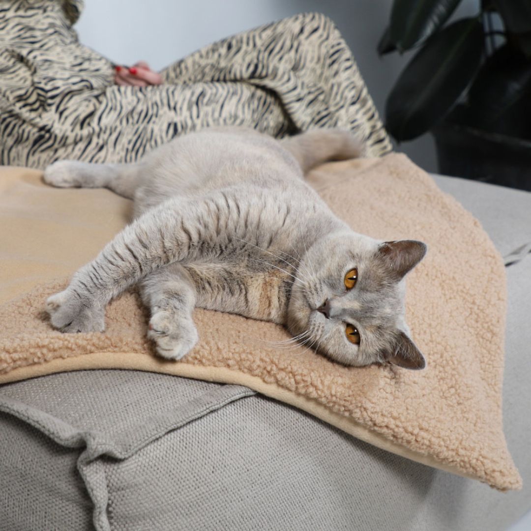 TRI CAT BLANKET BROWN - PRECIOUS PET