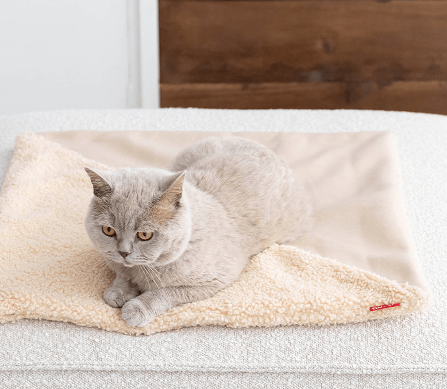 TRI CAT BLANKET BROWN - PRECIOUS PET