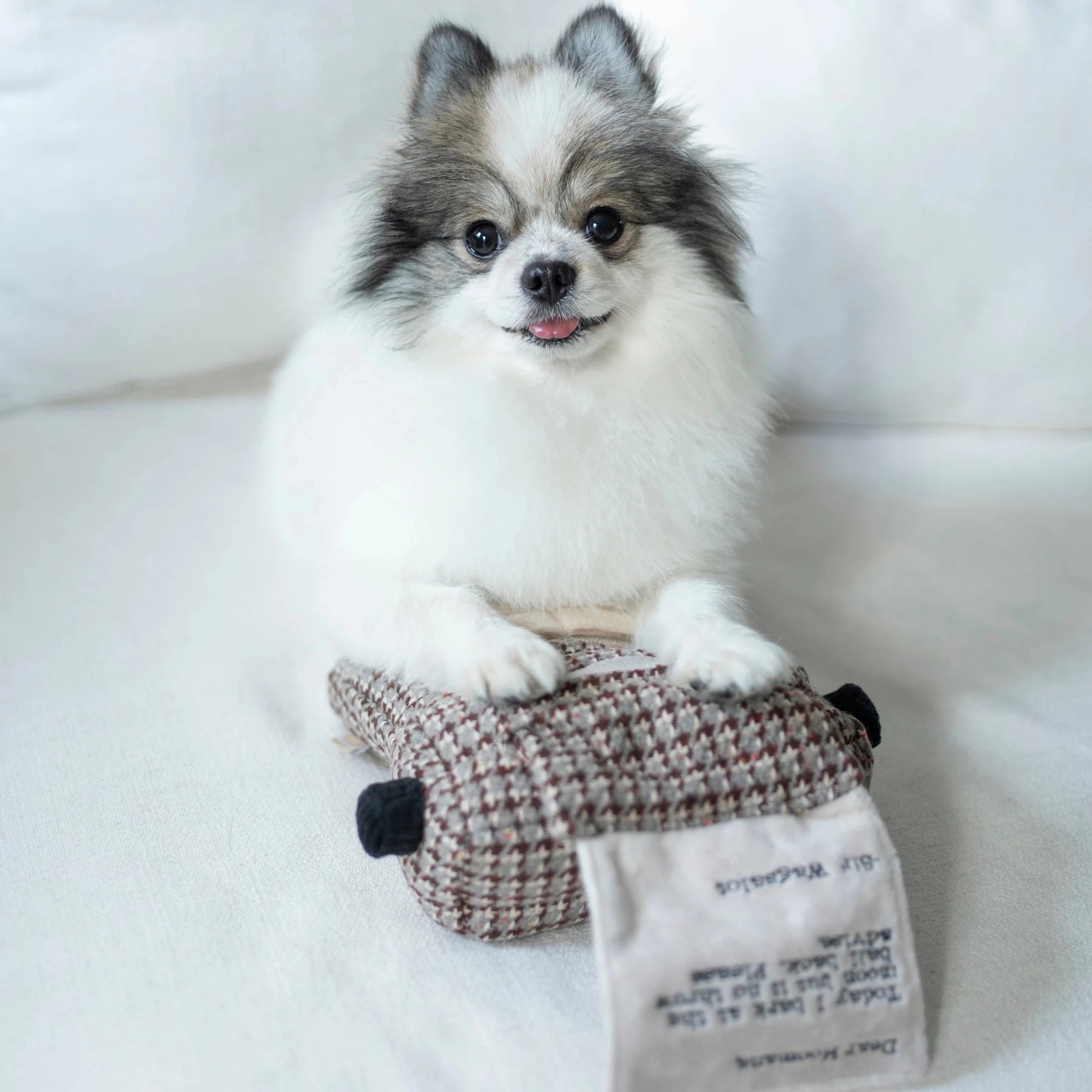 TYPEWRITER SNUSELEKE - PRECIOUS PET