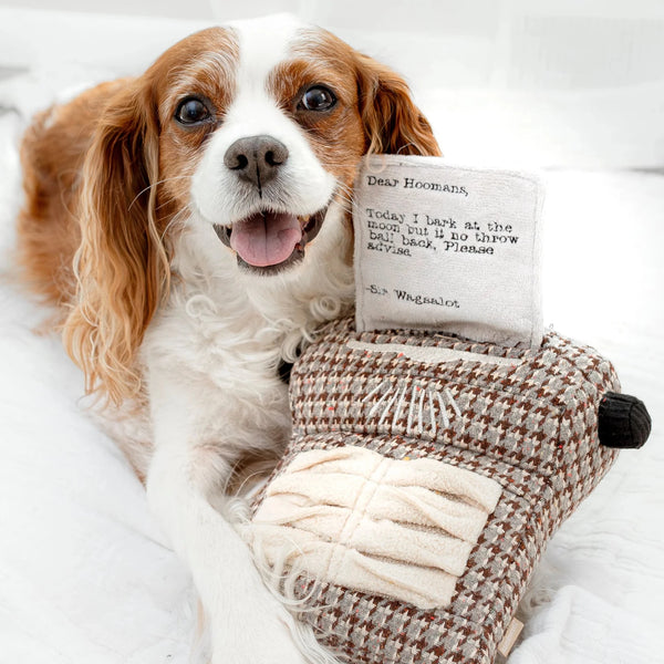 TYPEWRITER SNUSELEKE - PRECIOUS PET