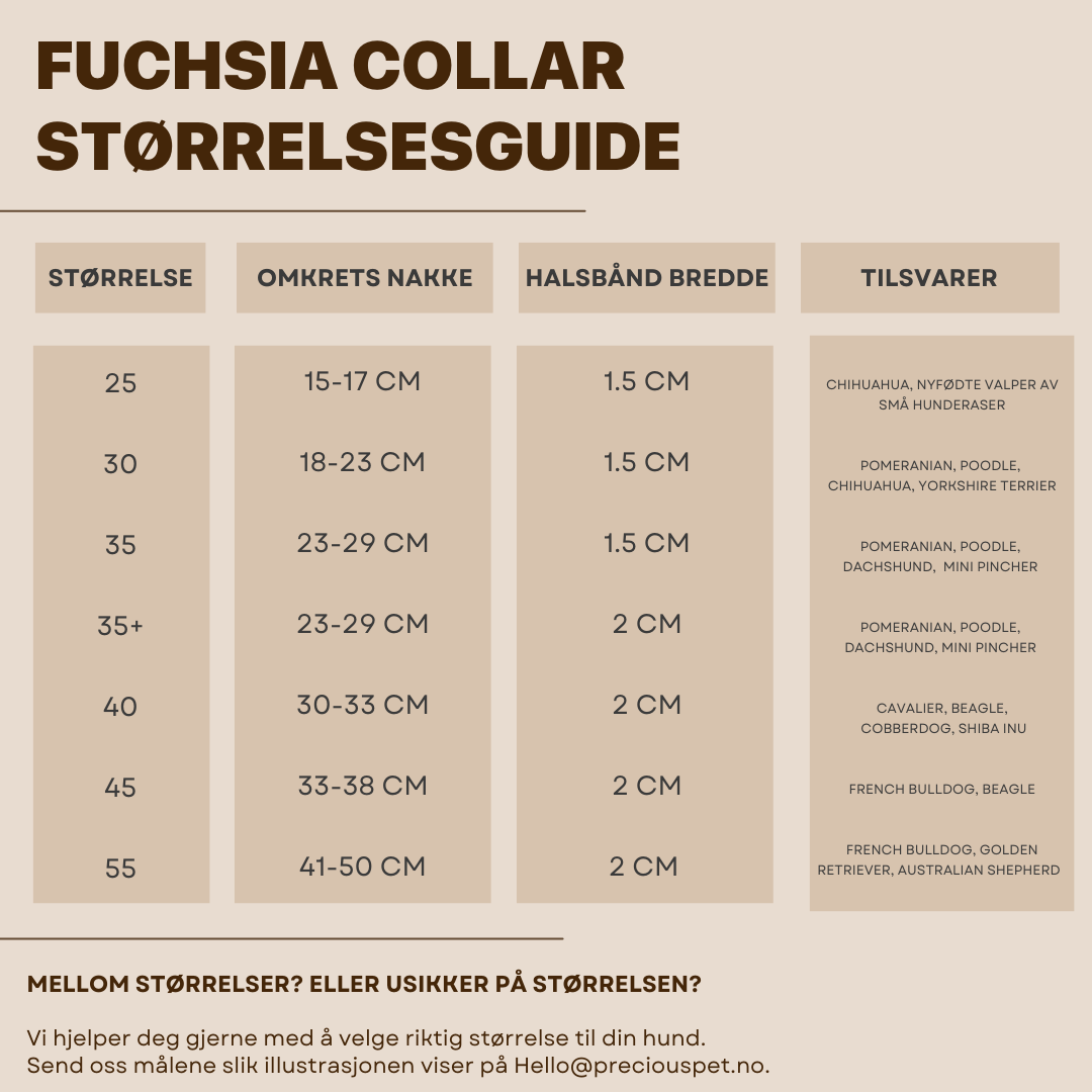 Limited Edition Fuchsia Set