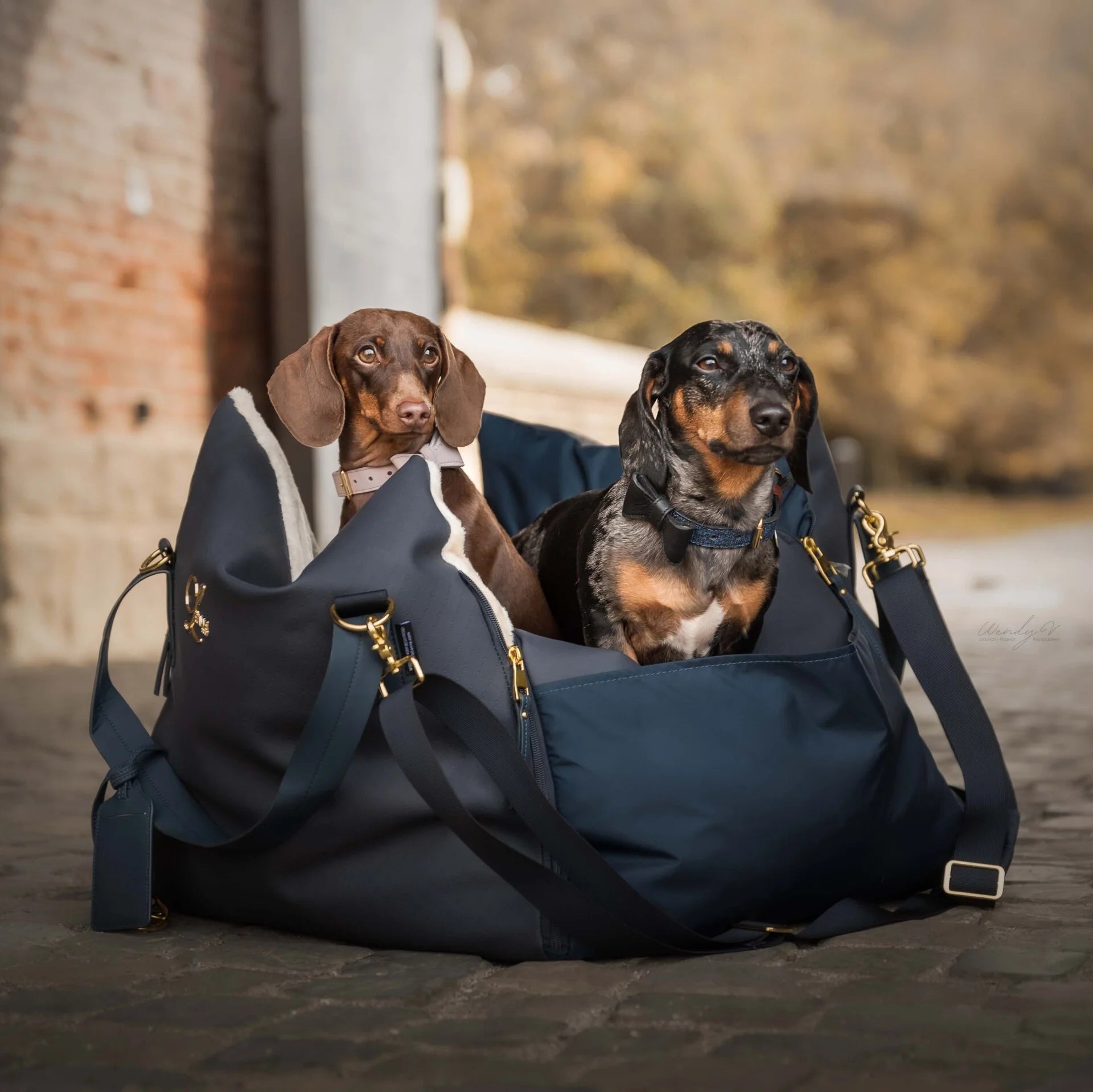 Trygt bilsete til hund med isofix og bærehåndtak