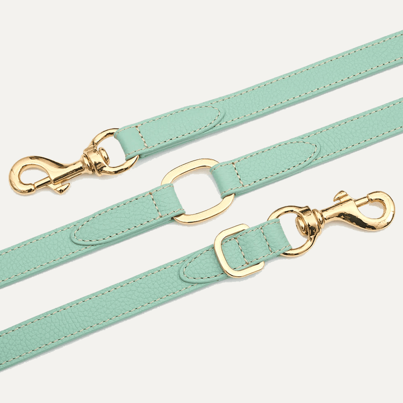 3 - WAY ADJUSTABLE LEASH MINT - PRECIOUS PET