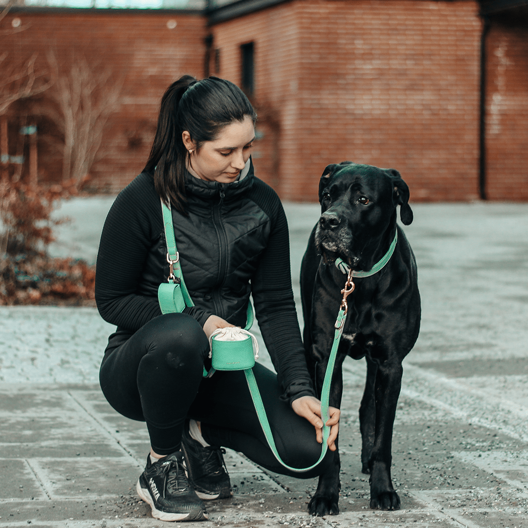 3 - WAY ADJUSTABLE LEASH MINT - PRECIOUS PET