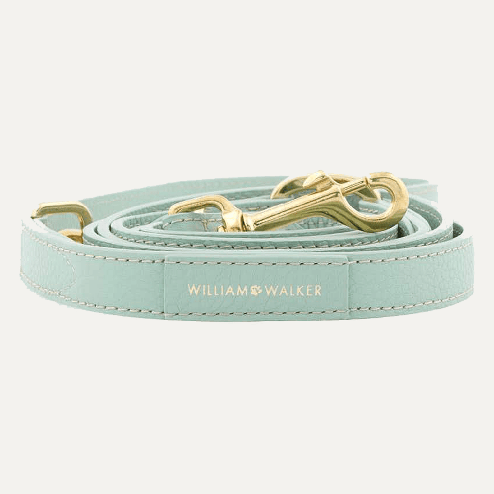 3 - WAY ADJUSTABLE LEASH MINT - PRECIOUS PET