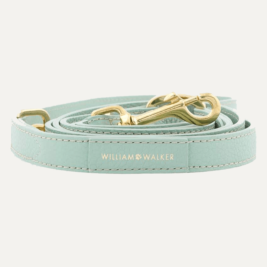 3 - WAY ADJUSTABLE LEASH MINT - PRECIOUS PET
