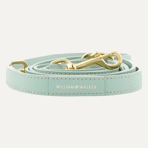 3 - WAY ADJUSTABLE LEASH MINT - PRECIOUS PET
