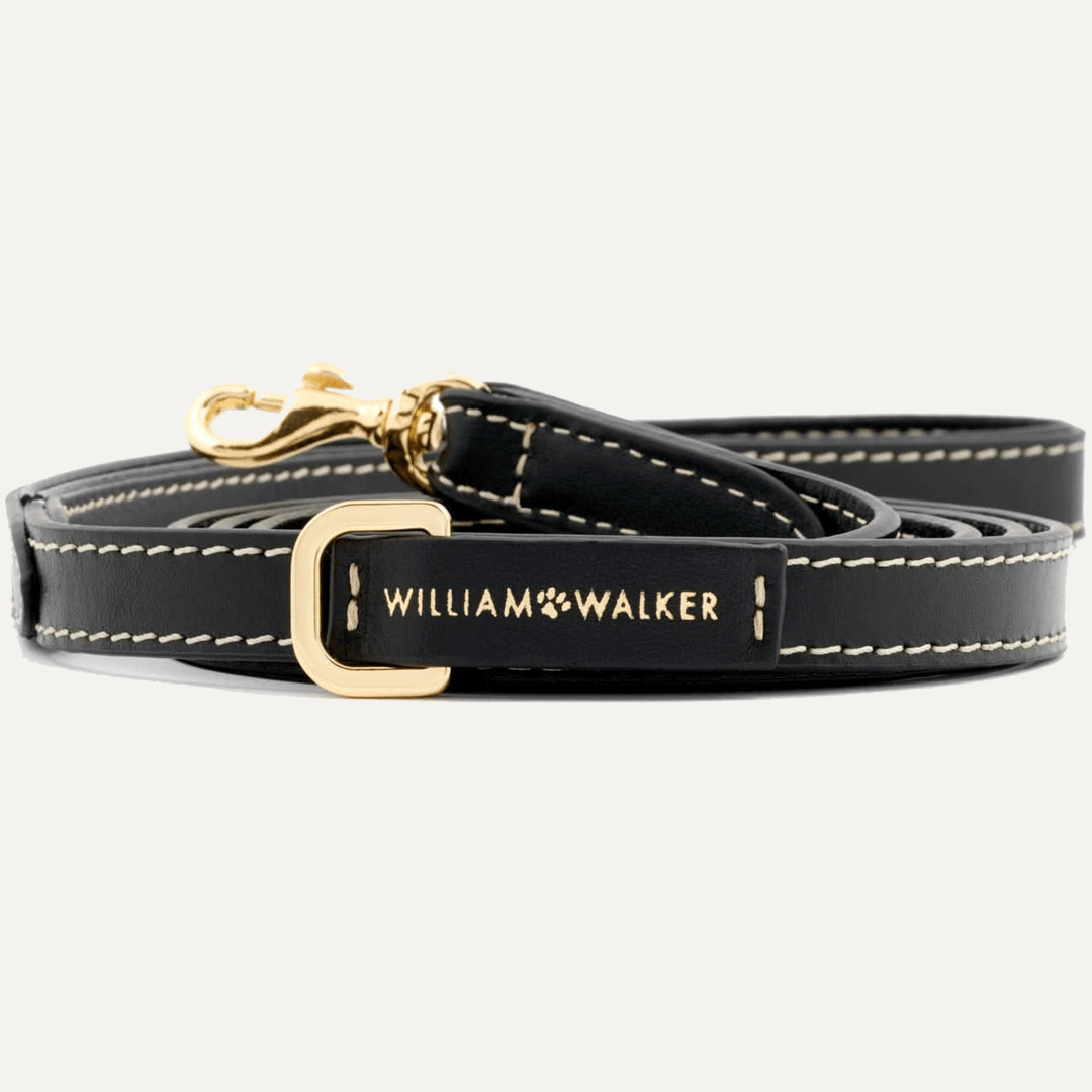 3 - WAY ADJUSTABLE LEASH SMOOTH NOIR - PRECIOUS PET