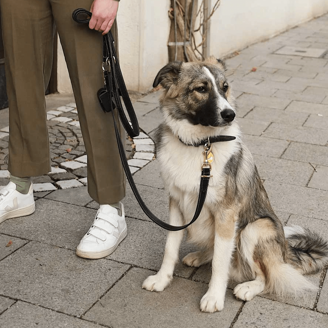 3 - WAY ADJUSTABLE SUEDE LEASH ROYAL BLACK - PRECIOUS PET