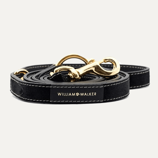 3 - WAY ADJUSTABLE SUEDE LEASH ROYAL BLACK - PRECIOUS PET