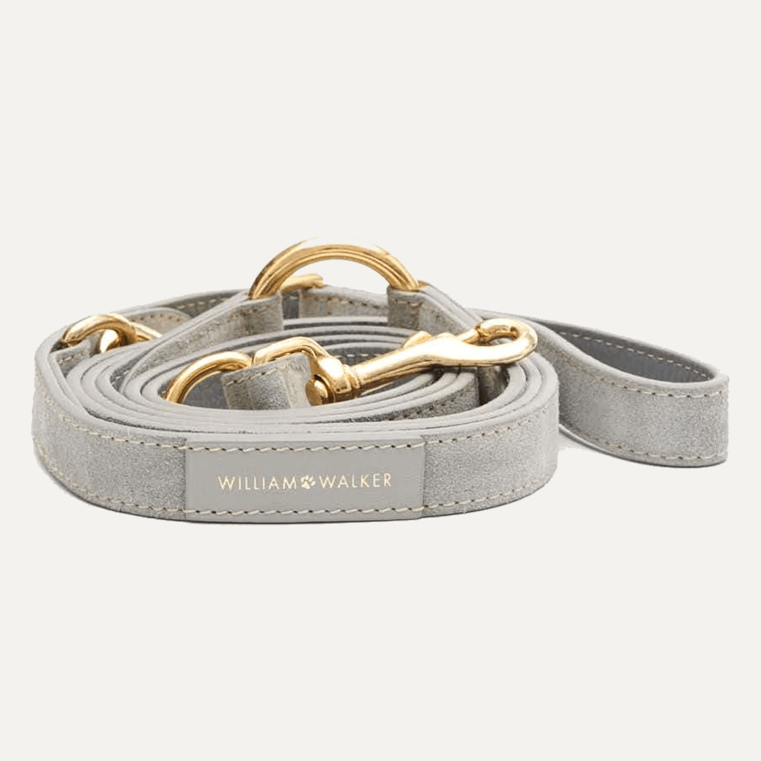 3 - WAY ADJUSTABLE SUEDE LEASH SEA SALT - PRECIOUS PET