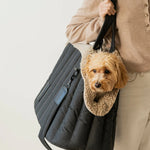 CARRYING PONY BAG BLACK - PRECIOUS PET