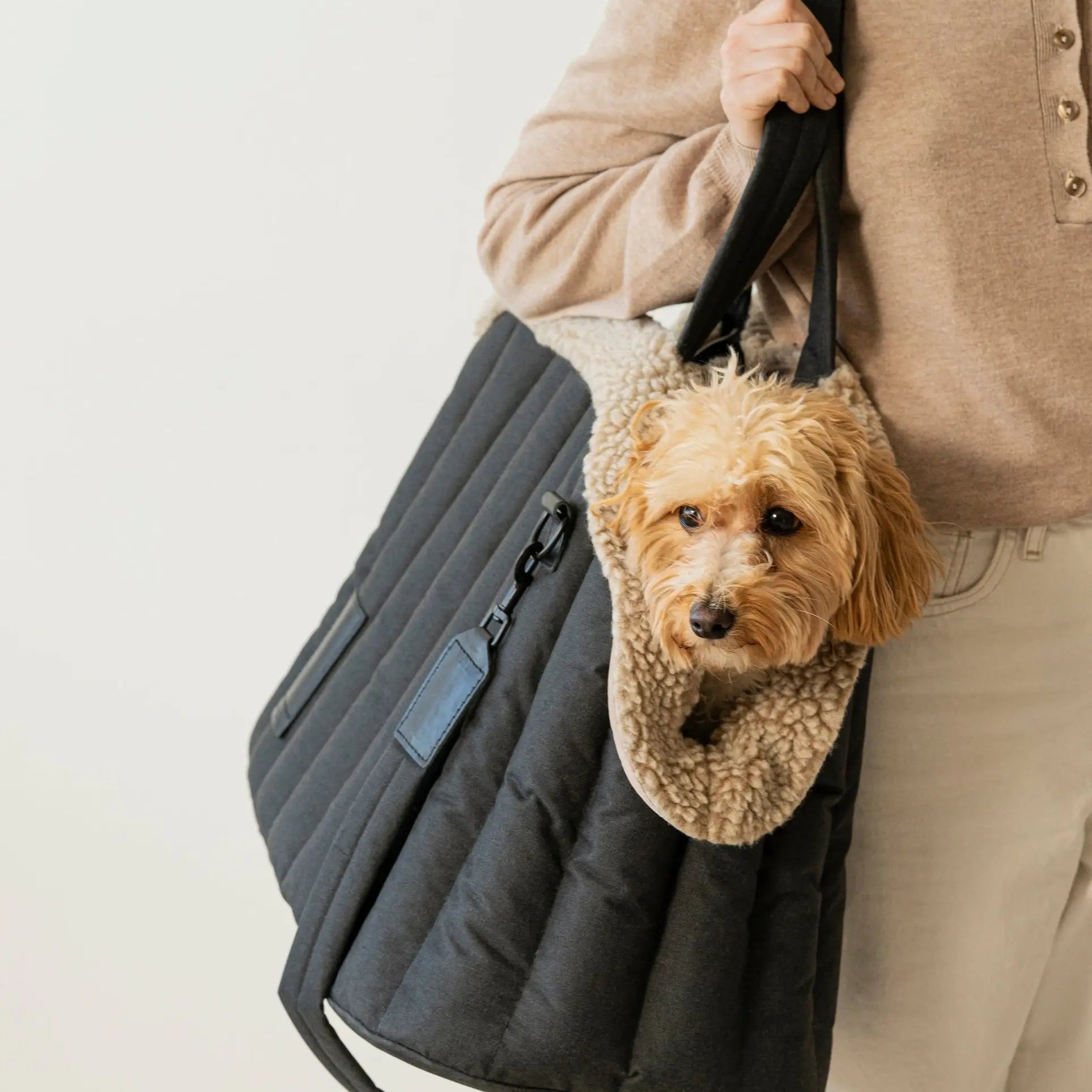 CARRYING PONY BAG BLACK - PRECIOUS PET