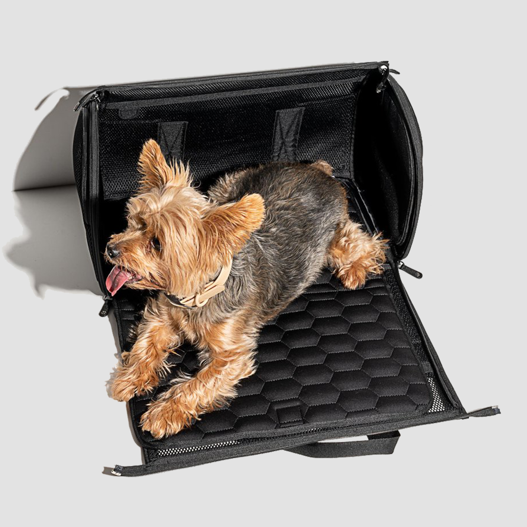 Travel carrier with a mat for the dog to lie down