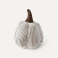 Load image into Gallery viewer, BOO PUMKIN TOY
