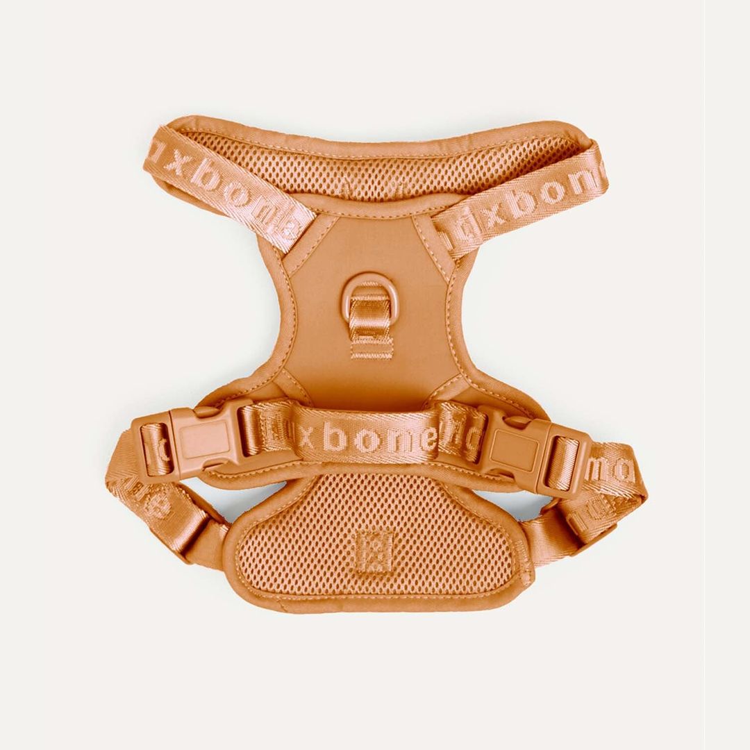 EASY FIT HARNESS CAMEL