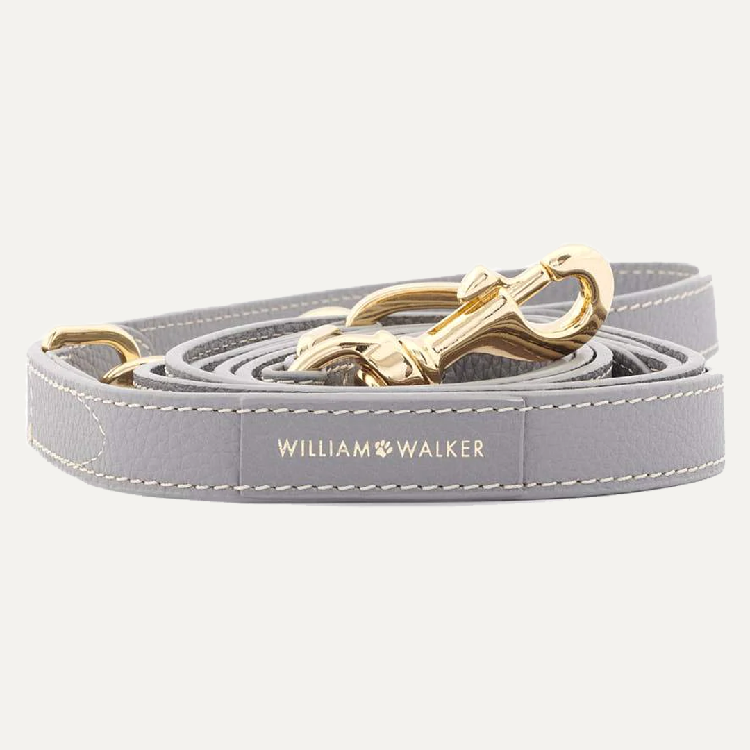 3-WAY ADJUSTABLE LEASH SEA SALT