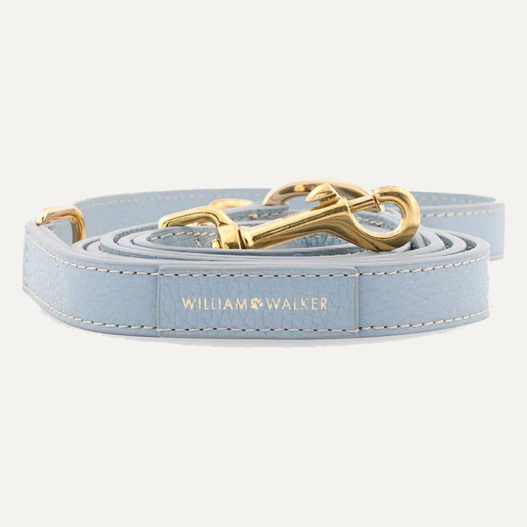 3-WAY ADJUSTABLE LEASH SKY