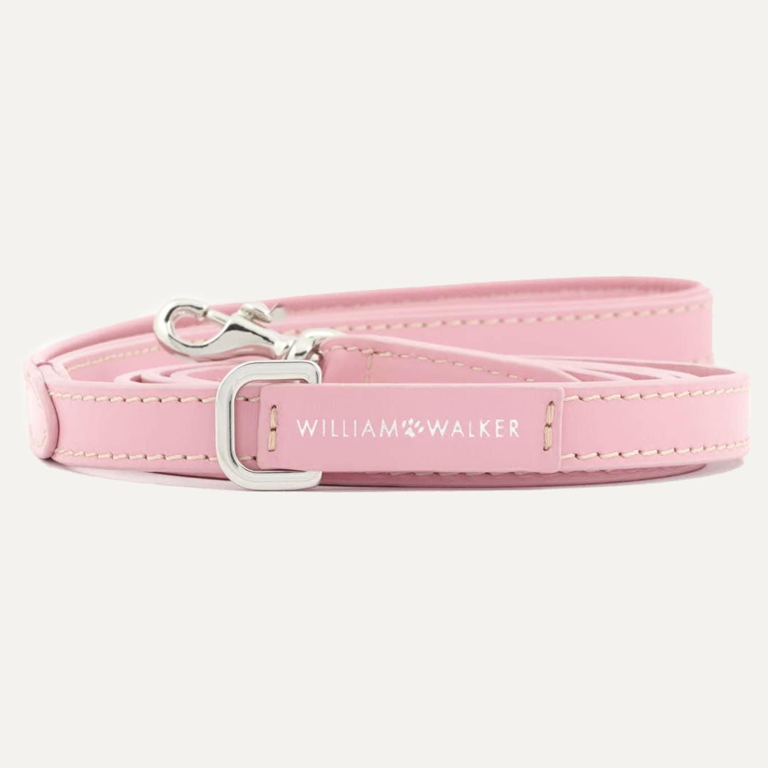 SMALL CITY LEASH SMOOTH ROSE
