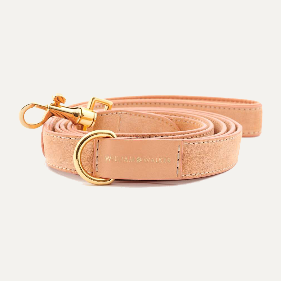 SMALL CITY SUEDE LEASH CORAL