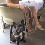 BEIGE HARNESS - PRECIOUS PET