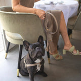 BEIGE HARNESS - PRECIOUS PET