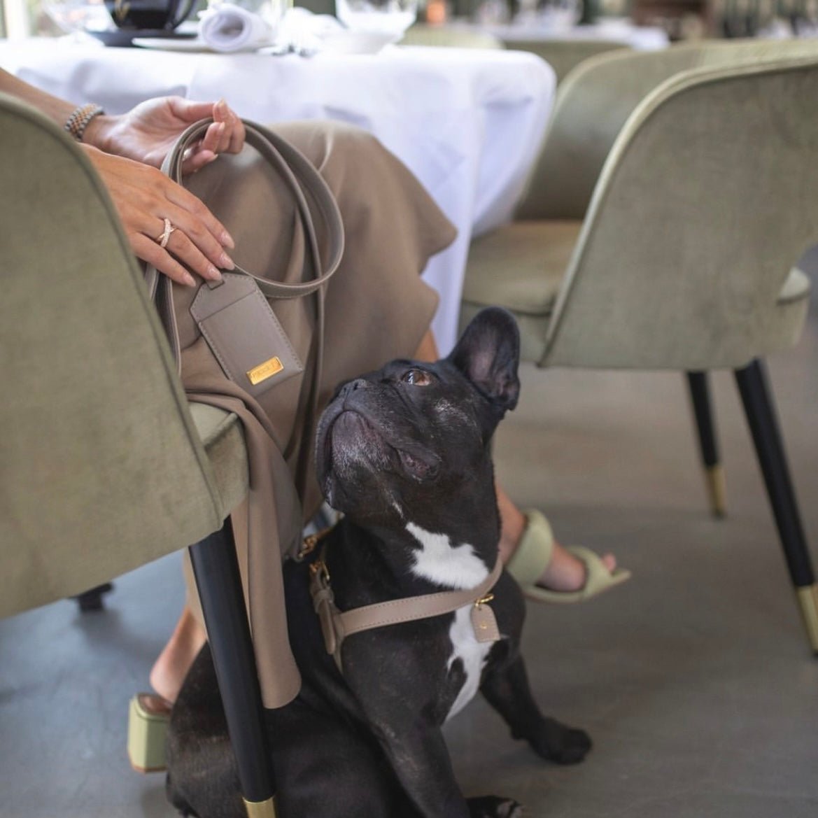 BEIGE LEASH SPECIAL EDITION - PRECIOUS PET