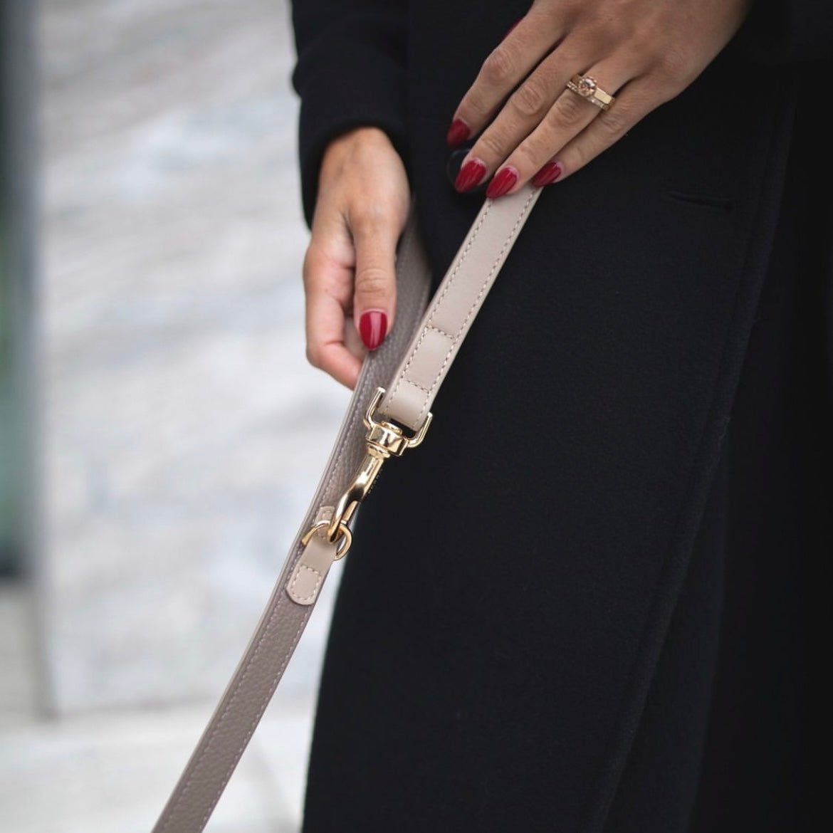 BEIGE LEASH SPECIAL EDITION - PRECIOUS PET