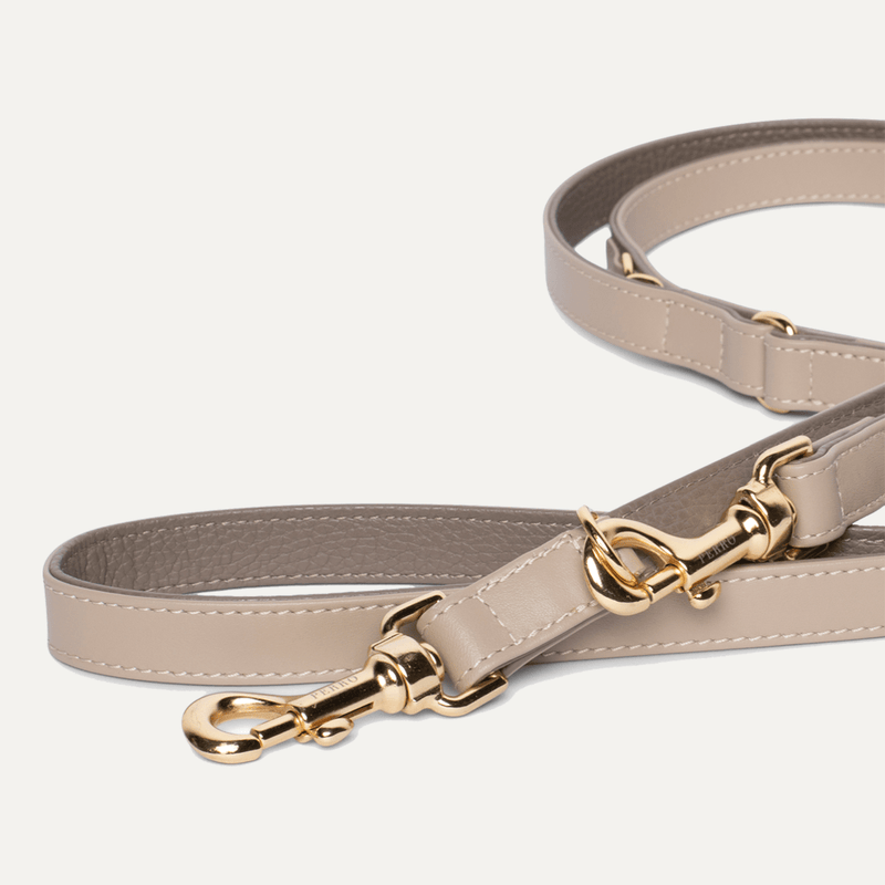 BEIGE LEASH SPECIAL EDITION - PRECIOUS PET