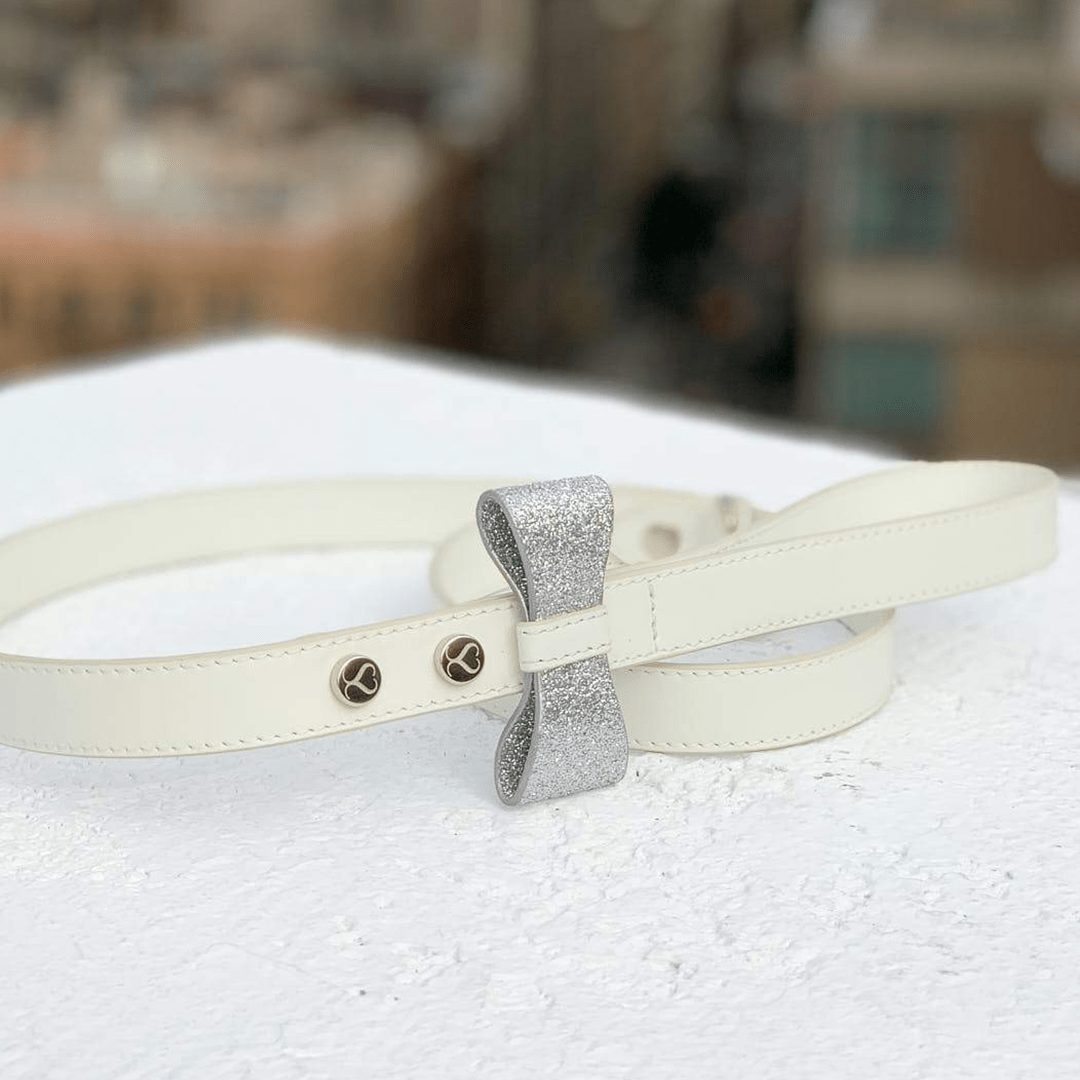 BEN LEASH - PRECIOUS PET