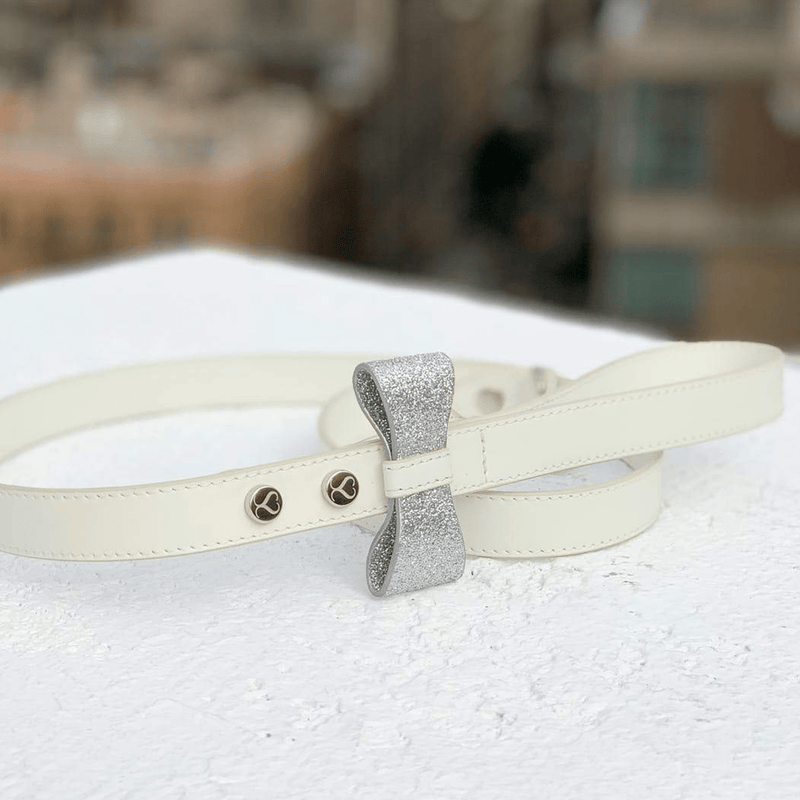 BEN LEASH - PRECIOUS PET