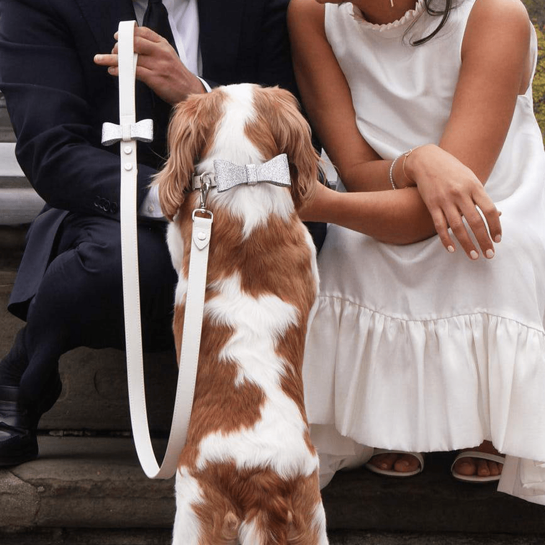 BEN LEASH - PRECIOUS PET